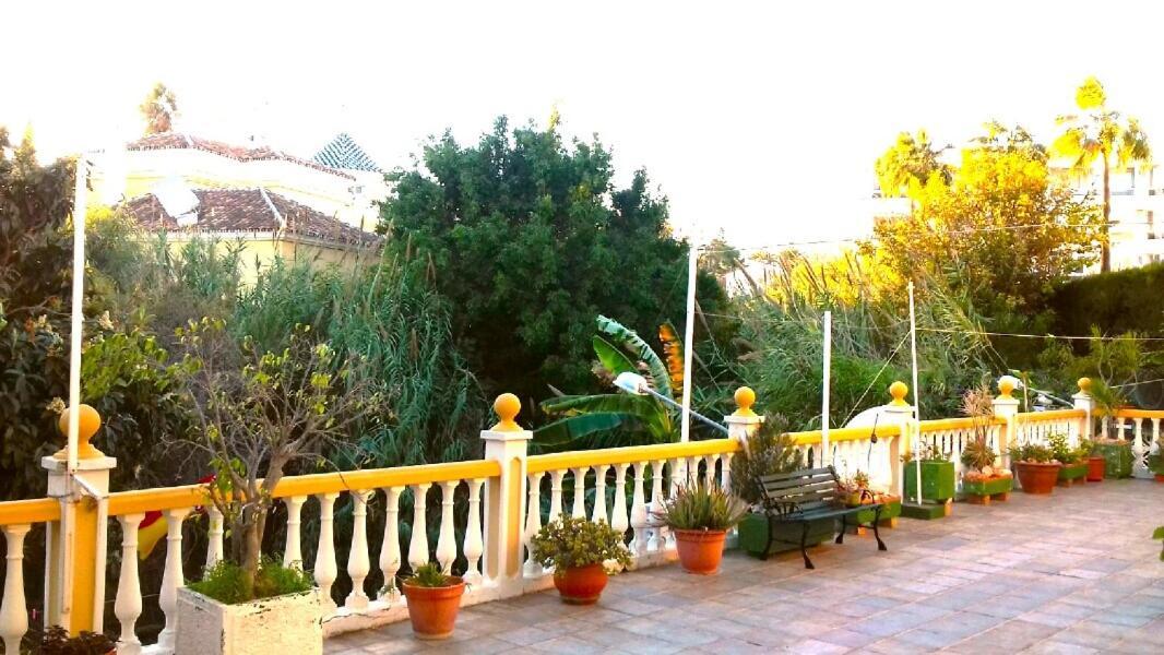 Bellamar توريمولينوس المظهر الخارجي الصورة