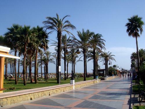 Bellamar توريمولينوس المظهر الخارجي الصورة